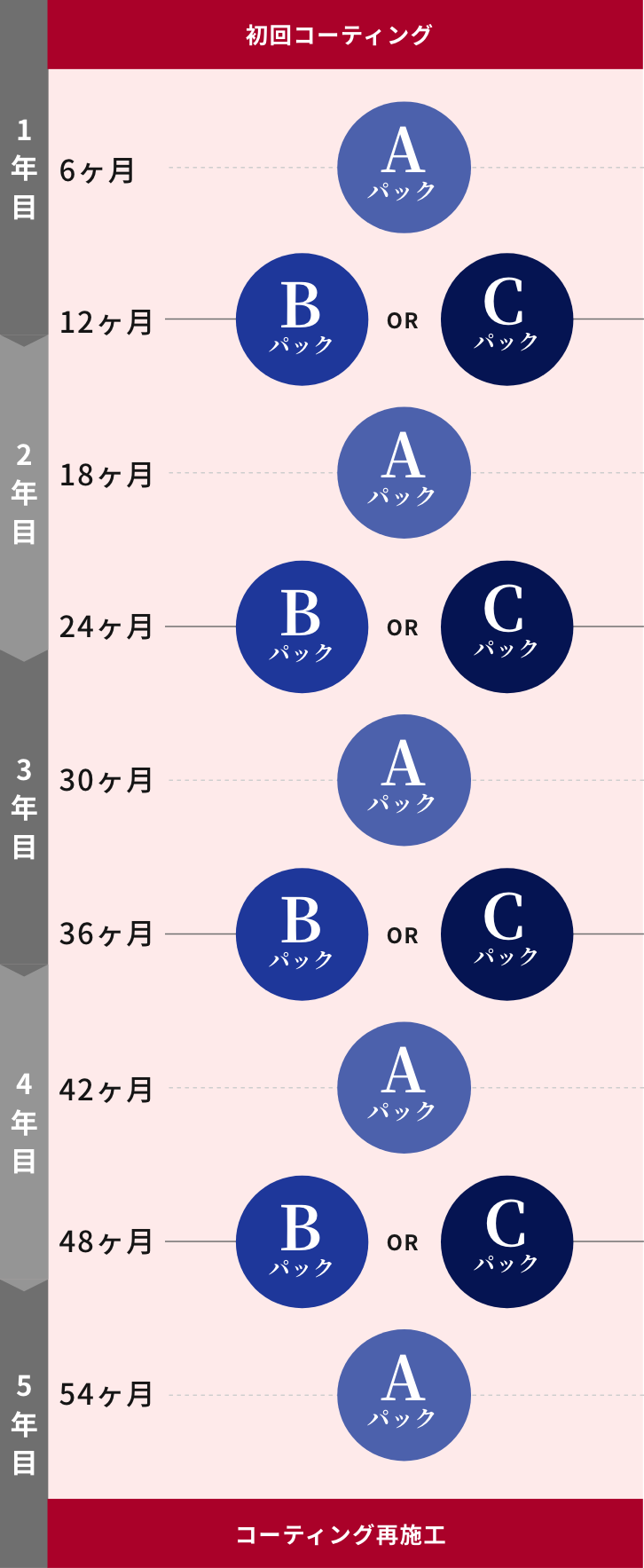 5年サポート