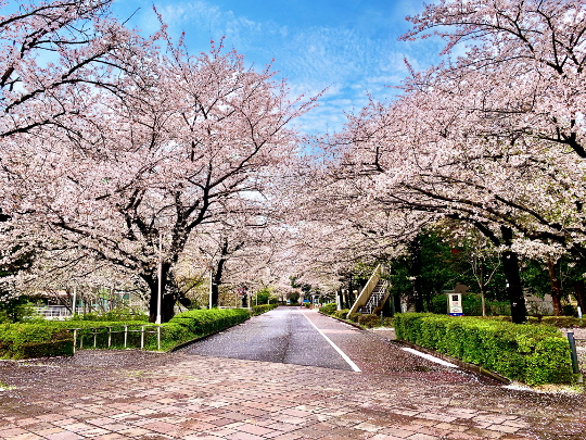 トラットリア伊心地宇都宮美味しいランチ北関東栃木県群馬県茨城県埼玉県福島県輸入車カーコーティング専門店クルマ洗車用品おすすめプロ仕様洗車用品純水洗車専門店